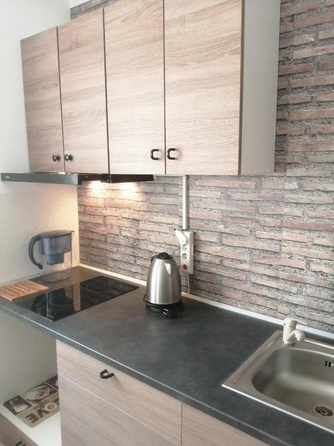 Villa 38 Silviu Apartment Бухарест Екстер'єр фото